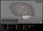 WebGL Brain Demo